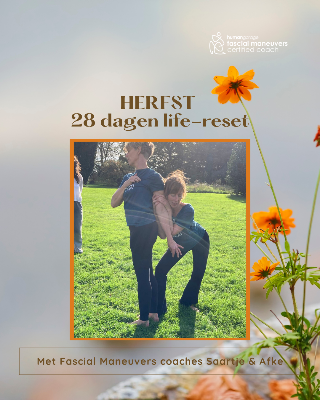 Fascial Maneuvers Life-Reset Cursus – Herfsteditie ONLINE